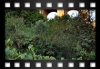 Camilletti Claudia - Vendemmia