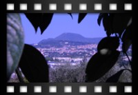 Pompei Nadia - Tra le foglie di un albero un panorama invidiabile - Ottobre 2010