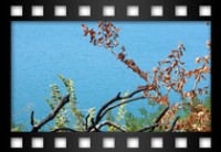 Simona Rosatelli - 9 settembre 2011 - Una scintilla nell'acqua - Lago Albano - Una delle attrazioni pi importanti del nostro territorio che col tempo si  meritata un posto nel cuore e dei ricordi di tutti noi..