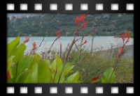 Andreani Carlo - Lago di Albano - Luglio 2011 Castel Gandolfo