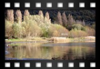 Francini Massimo - Colori d'autunno al lago