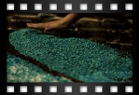 Laurenti Emanuela - Frammenti di Infiorata - Giugno 2011