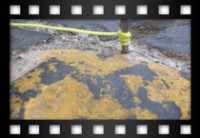 Sciattella Massimo - Giugno 2008 - La Pangea e L'Infiorata