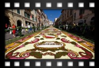 Simmi Fabrizio - Infiorata 2011 Genzano