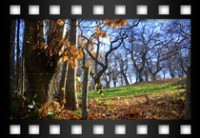 Fagiolo Laura - Castelli d'autunno