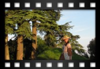 Conti Cecilia - Il parco Sforza Cesarini e la sua signora Caroline Shirley