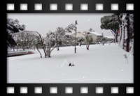 Antonelli Ramona - Il silenzio del parco - Febbraio 2010