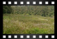 Lomazzo Sharon - Il Vallone