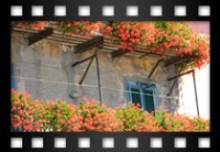 Pietrini Luciana -  Balconate nemesi - Settembre 2011