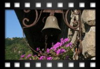 Palmieri Marco - Campana con fiori - Giugno 2011