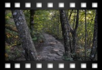 Fondi Gianni - Antiche curve