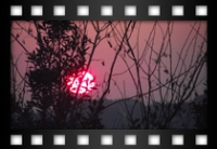 Mariani Cristina - Il sole al tramonto a Velletri